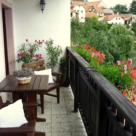 Pension Plesivecka 119 Český Krumlov Buitenkant foto