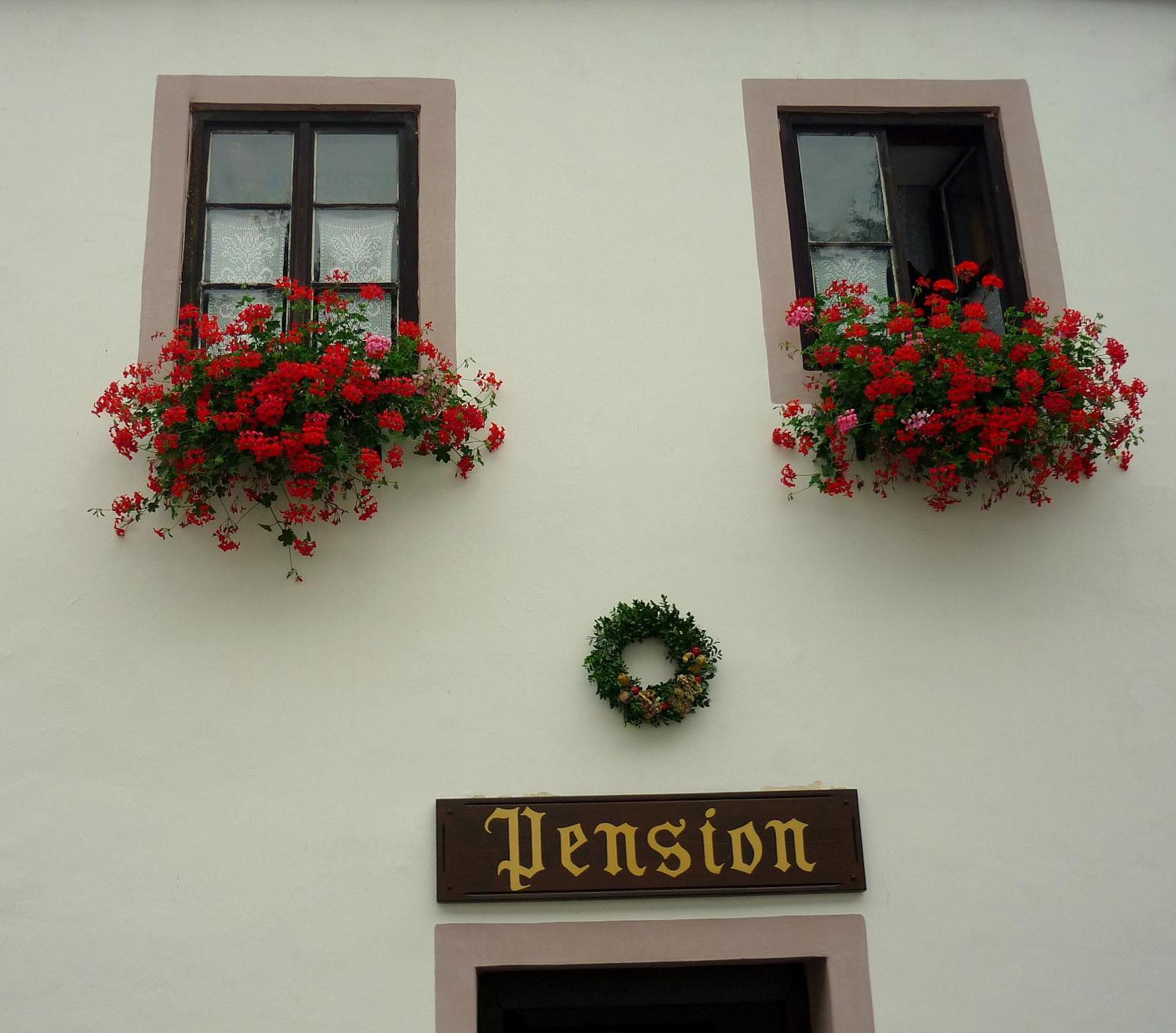 Pension Plesivecka 119 Český Krumlov Buitenkant foto