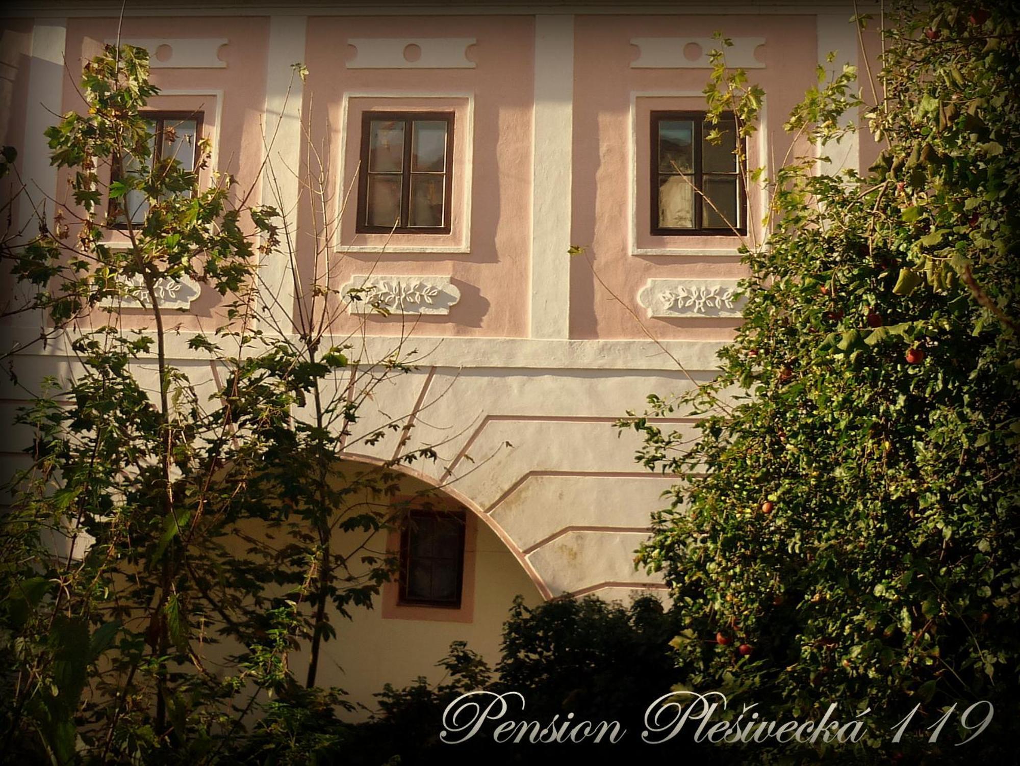 Pension Plesivecka 119 Český Krumlov Buitenkant foto