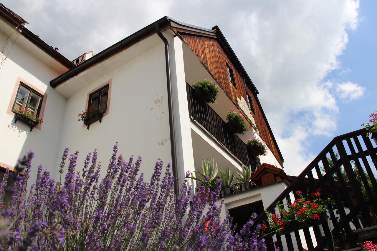 Pension Plesivecka 119 Český Krumlov Buitenkant foto
