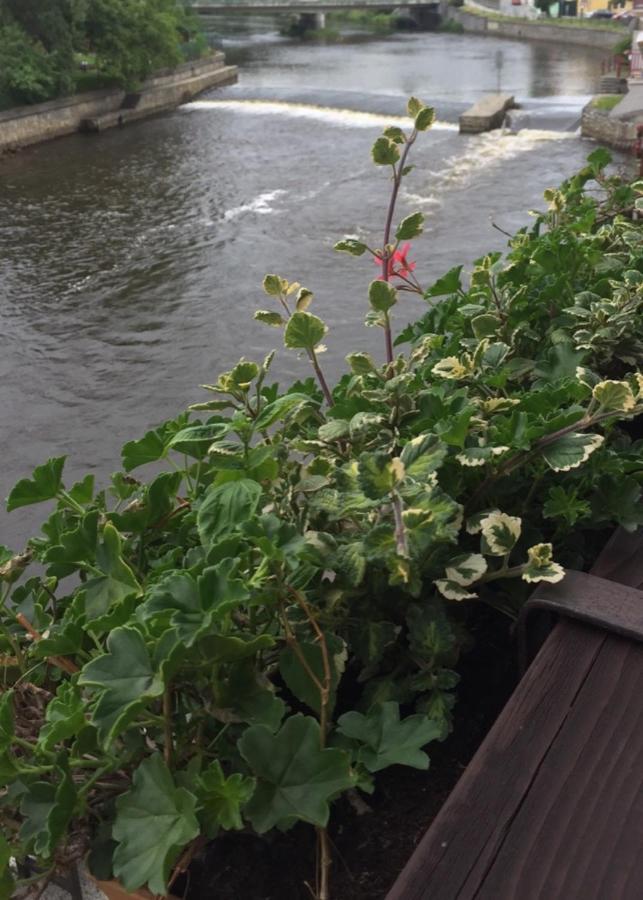 Pension Plesivecka 119 Český Krumlov Buitenkant foto